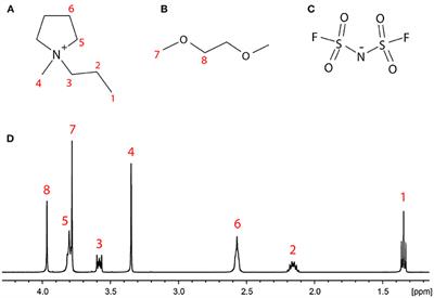 Investigating Intermolecular Interactions in a DME-Based Hybrid Ionic Liquid Electrolyte by HOESY NMR